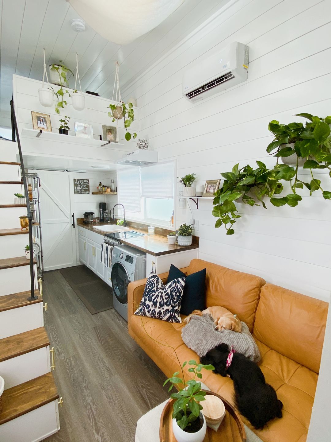 Customer photo review of Wally Eco Stone Wall Planter