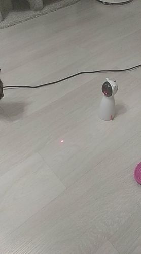 Customer photo review of Smart Cat Laser Toy
