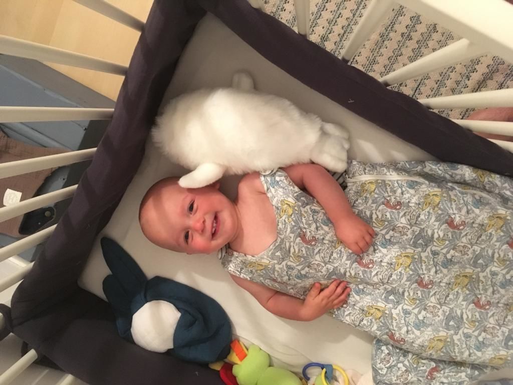 Customer photo review of Mon phoque Arsène
