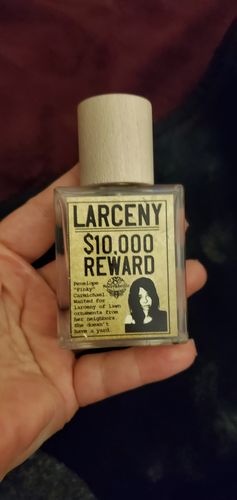 Customer photo review of Larceny
