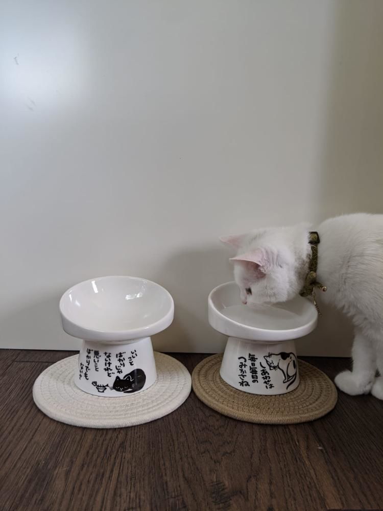 Customer photo review of Neko Raised Bowls