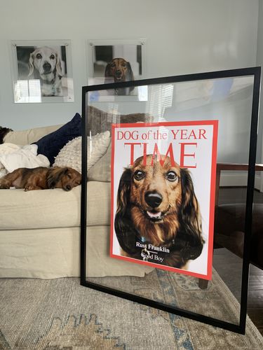 Customer photo review of Posing Pig Custom Print