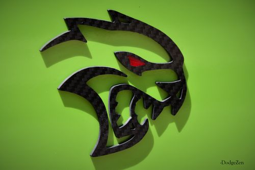 Customer photo review of Carbon Fiber Hellcat Fender Badge Set