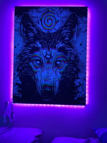 Customer photo review of The Spirit Wolf Canvas Set