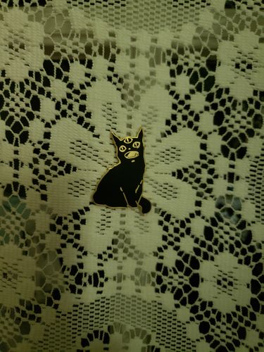 Customer photo review of Third Eye Black Cat, Enamel Pin