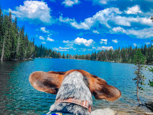 Customer photo review of TENERIFE LIGHTROOM PRESETS