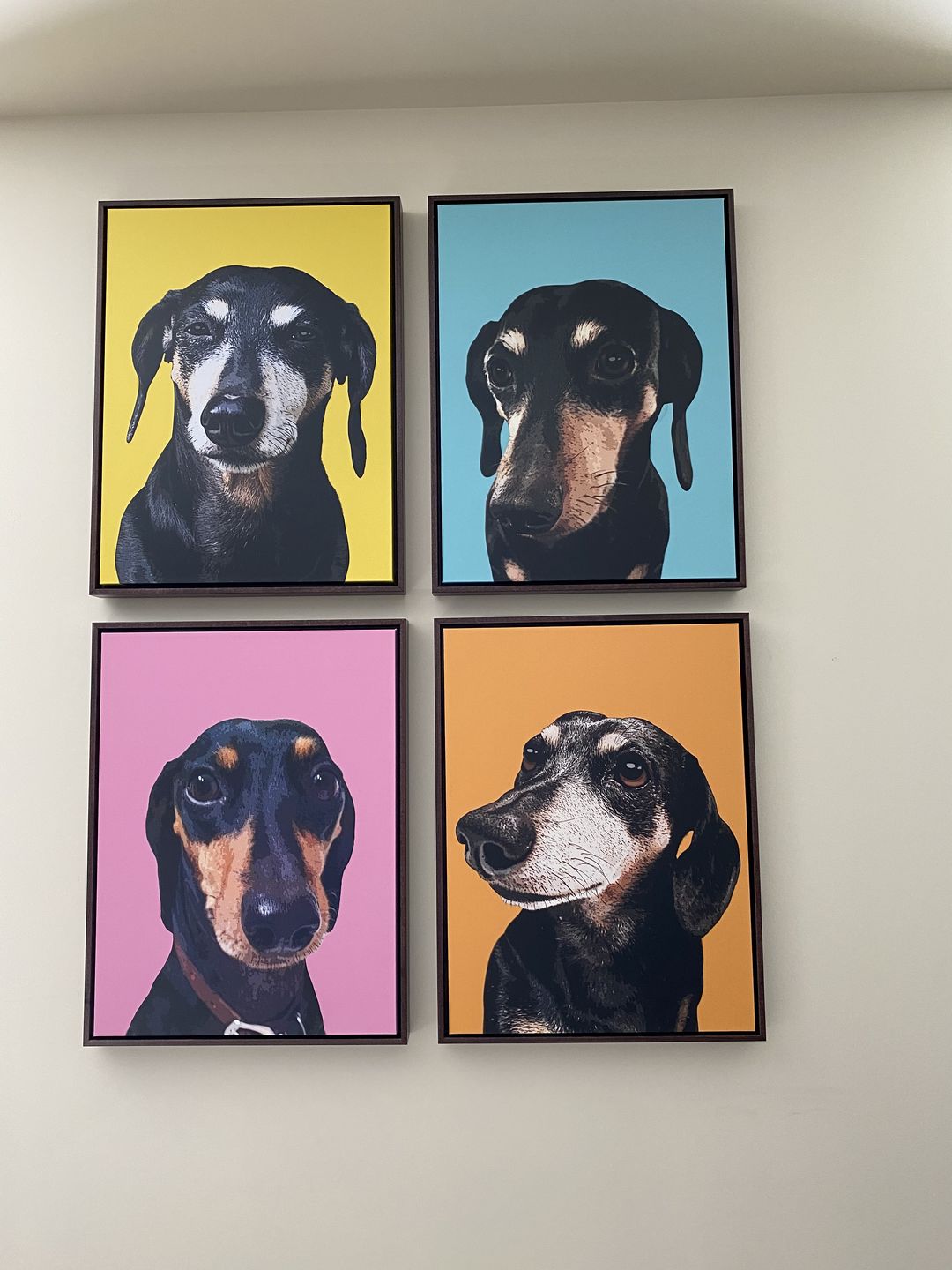 Customer photo review of Original Pet Pop Art Framed Canvas Wraps