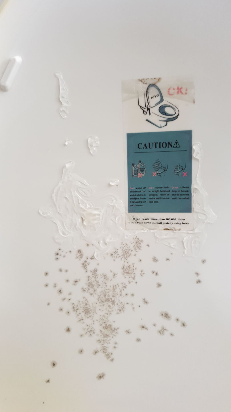Customer photo review of Gong100 Mold Remover Gel