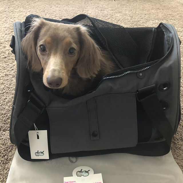 Customer photo review of Koala Pet Carrier in Dark Steel Grey (Classic Canvas)