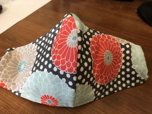 Customer photo review of Mask Insert - Combo - 50/50 Pack