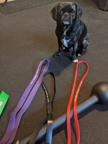 Customer photo review of Resistance Power Bands