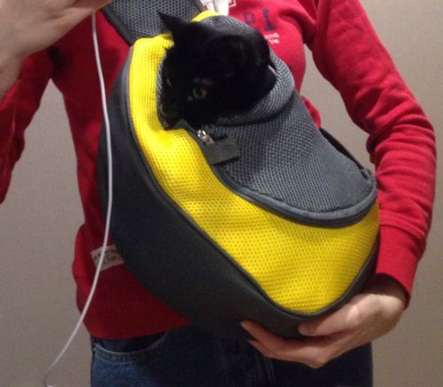 Customer photo review of Petyfy™ Shoulder Dog Bag