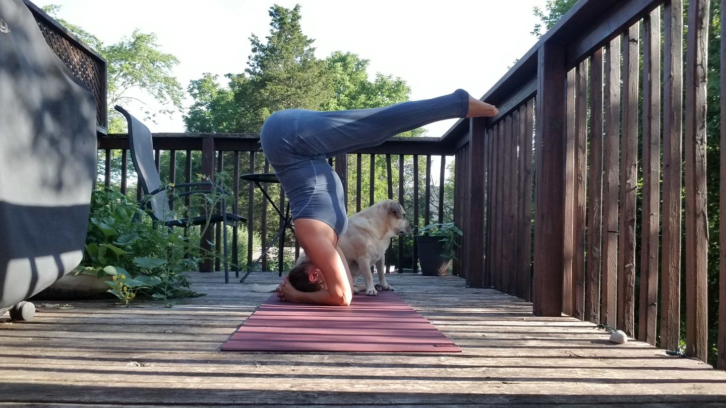 Customer photo review of Stonewash Long Yoga Jumpsuit