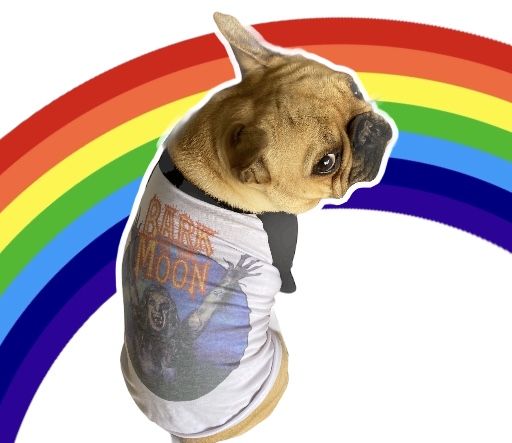 Customer photo review of Bark At The Moon Raglan Dog Tee