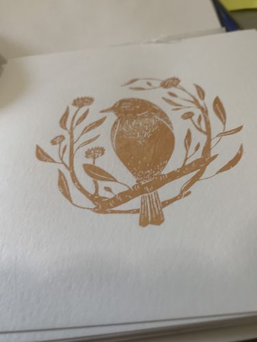 Customer photo review of One-Step Paint Color Guide