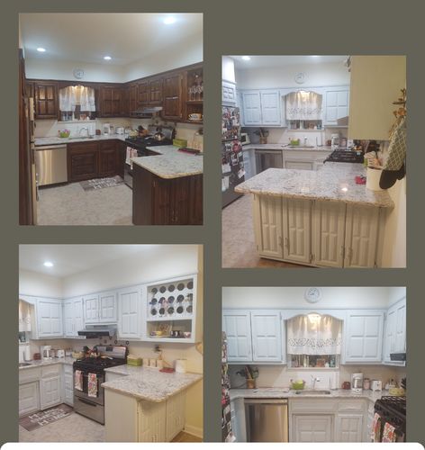 Customer photo review of Aviary - One Step Paint