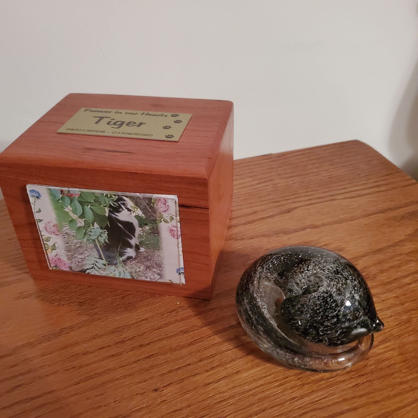 Customer photo review of Half-tone Sleeping Glass Cat with Infused Cremation Ashes