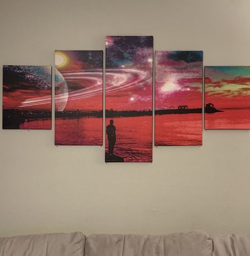 Customer photo review of The End Canvas Set