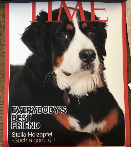 Customer photo review of Posing Pig Custom Print