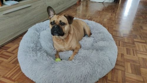 Customer photo review of Dog Bed - Super Soft Calming Bed™