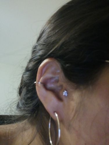 Customer photo review of Hinged Clicker Segment Ring Daith, Conch, Nose, Septum