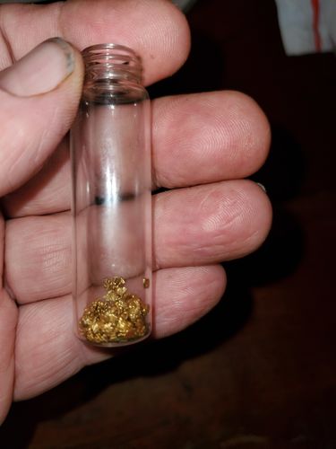Customer photo review of *BOGO* Goldn Paydirt '$5,000 Nugget Giveaway' - Gold Panning Paydirt Concentrate
