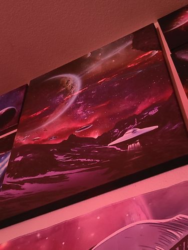 Customer photo review of Beam Me Up Canvas Set