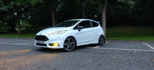 Customer photo review of Fiesta ST180 Fog Light Armour