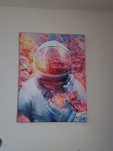 Customer photo review of A Dream of Spring Canvas Set