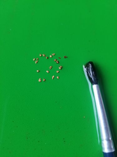 Customer photo review of *BOGO* Pioneer '2 OUNCE NUGGET HUNT' - Gold Panning Paydirt Concentrate