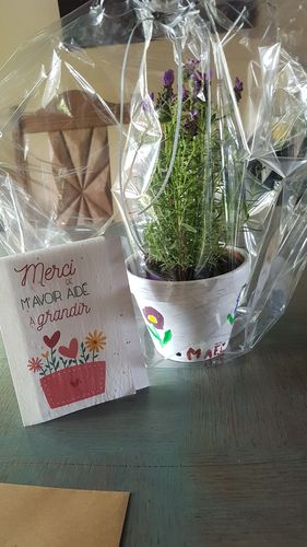 Customer photo review of Carte à planter - Merci de m'avoir aidé à grandir
