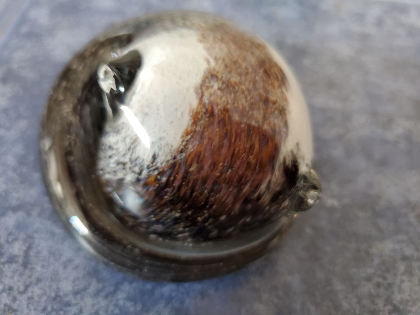 Customer photo review of Calico Sleeping Cat with Infused Cremation Ashes