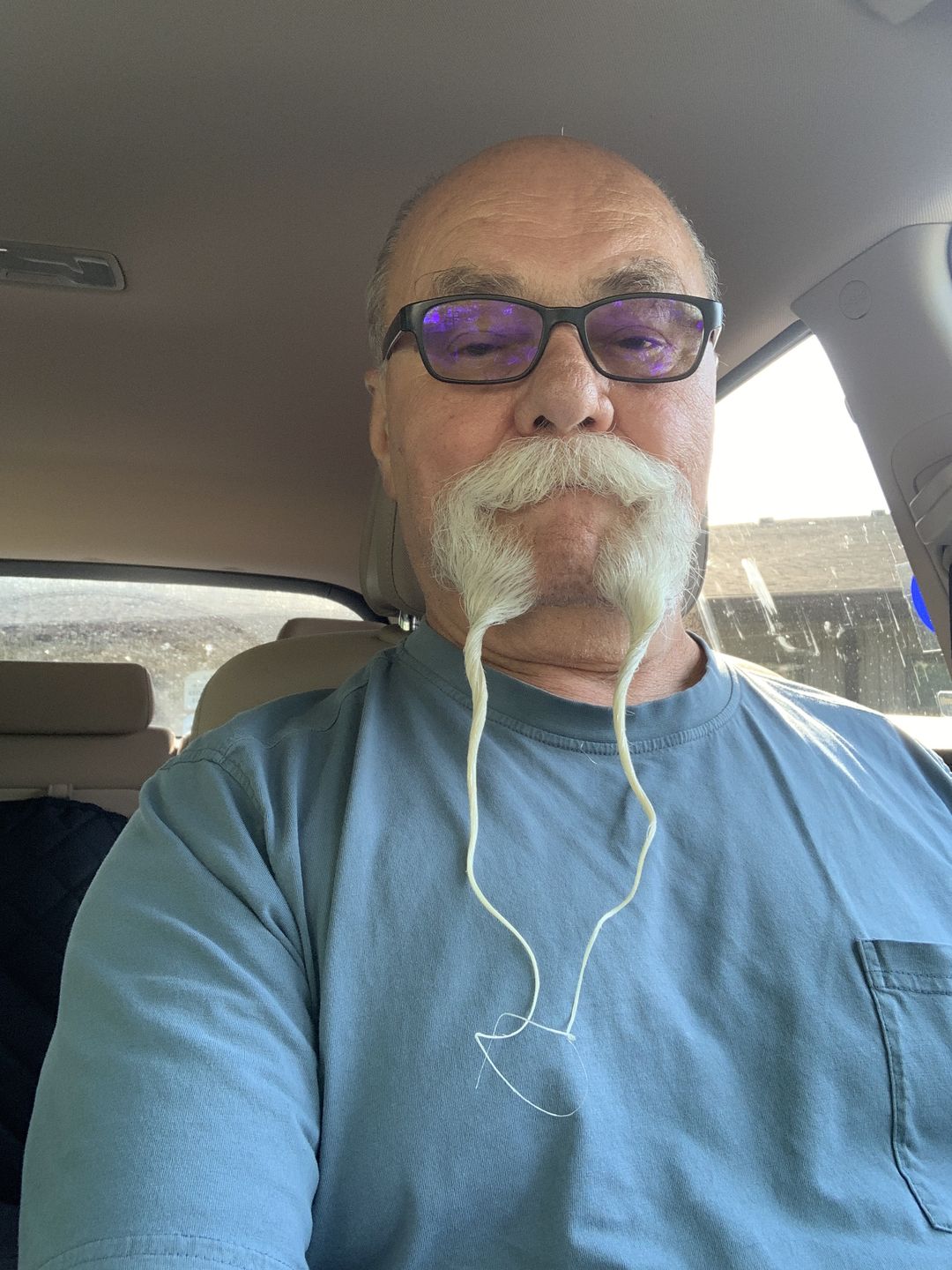 Customer photo review of Lignans
