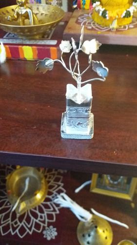 Customer photo review of Brindavan Tulasi Medium