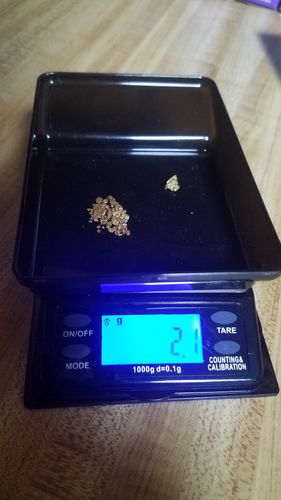 Customer photo review of *New* 2020 NUGGET RESERVE 'CLUNKER' Gold Paydirt Panning Unsearched