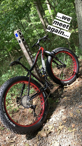 Customer photo review of Wolftrax Alloy Fat Bike 26"