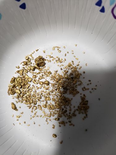 Customer photo review of 25 Lb. JACKPOT PAYDIRT™ Gold Paydirt Unsearched