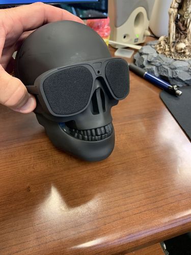 Customer photo review of Just Love Skulls Speaker