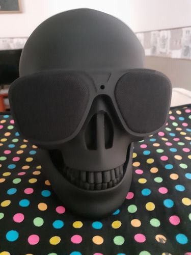 Customer photo review of Just Love Skulls Speaker