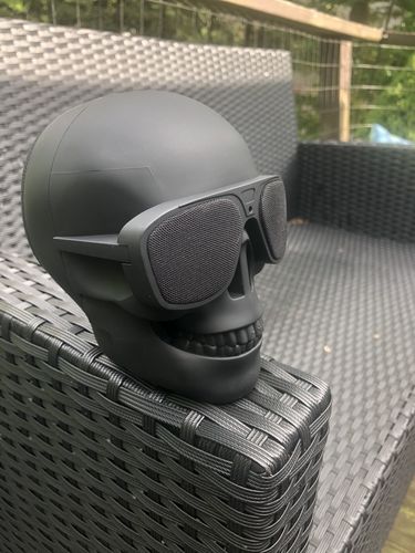 Customer photo review of Just Love Skulls Speaker