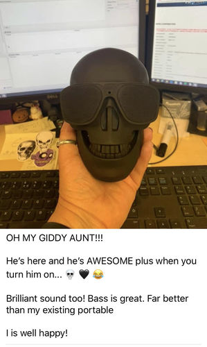 Customer photo review of Just Love Skulls Speaker