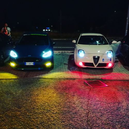 Customer photo review of Alfa Romeo Mito Fog Light Armour