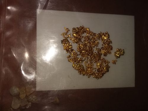 Customer photo review of *BOGO* Pioneer '2 OUNCE NUGGET HUNT' - Gold Panning Paydirt Concentrate