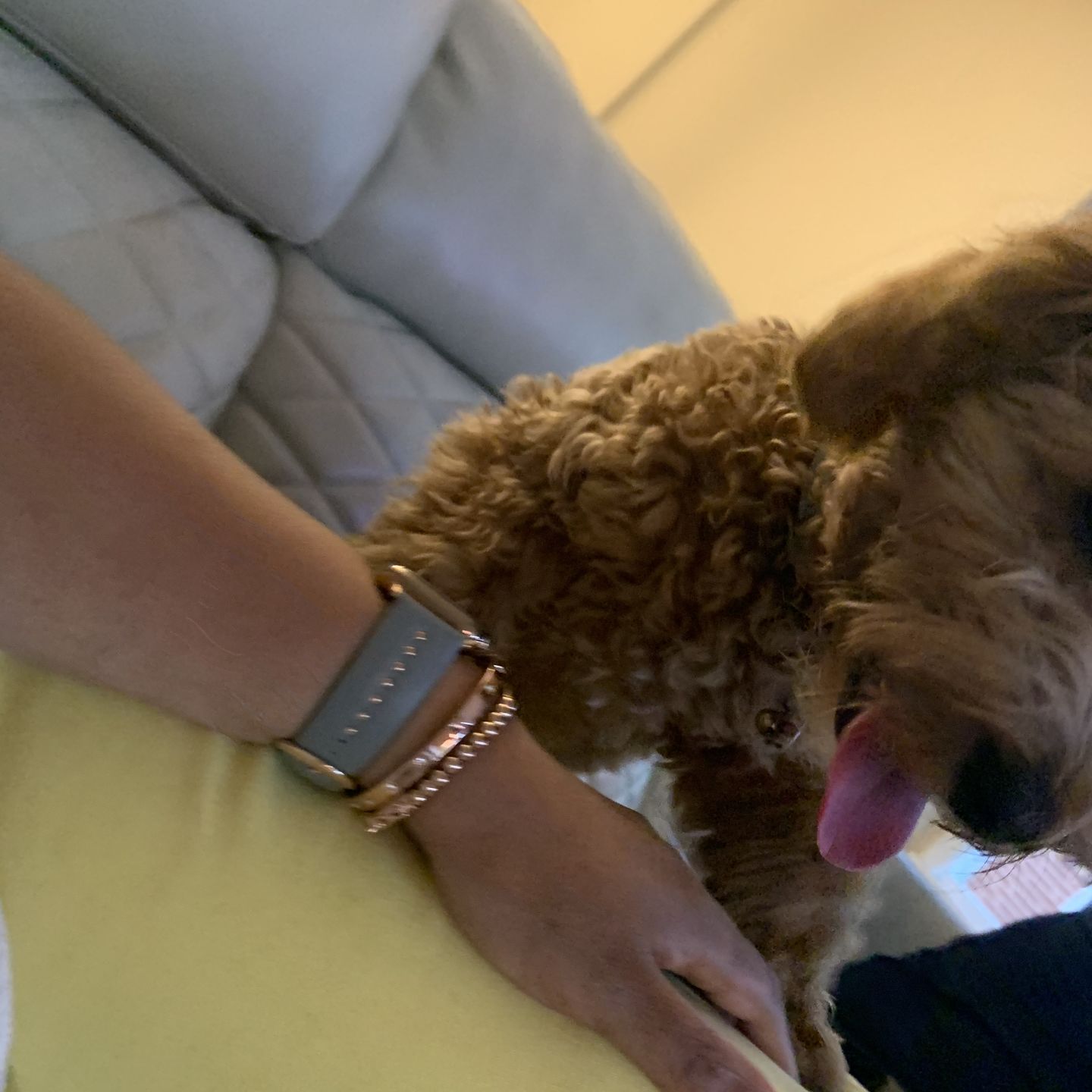 Customer photo review of Gray Stud Band for the Apple Watch in Rose Gold