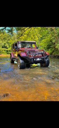 Customer photo review of Black and White American Flag Insert