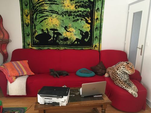 Customer photo review of Rouge - Housses Extensibles de Fauteuil et Canapé - La Maison des Housses