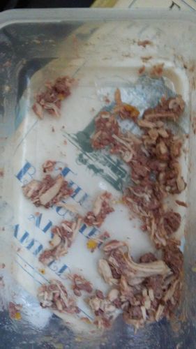 Customer photo review of Tuna & Salmon Recipe Flaked Dinner In Broth Adult Cat Food, 2.8-oz, Case of 12