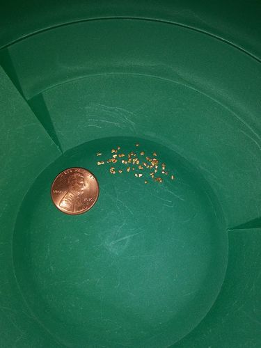 Customer photo review of *BOGO* NUGGET RESERVE '3 Ounce Nugget Hunt' - Gold Paydirt Concentrate - Panning Pay Dirt Bag