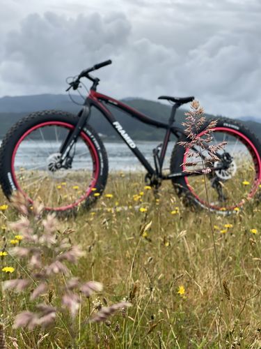 Customer photo review of Bike Assembly