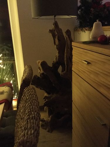 Customer photo review of Standlampe Teak Wurzelholz  RIAZ  | inkl. Lampenschirm